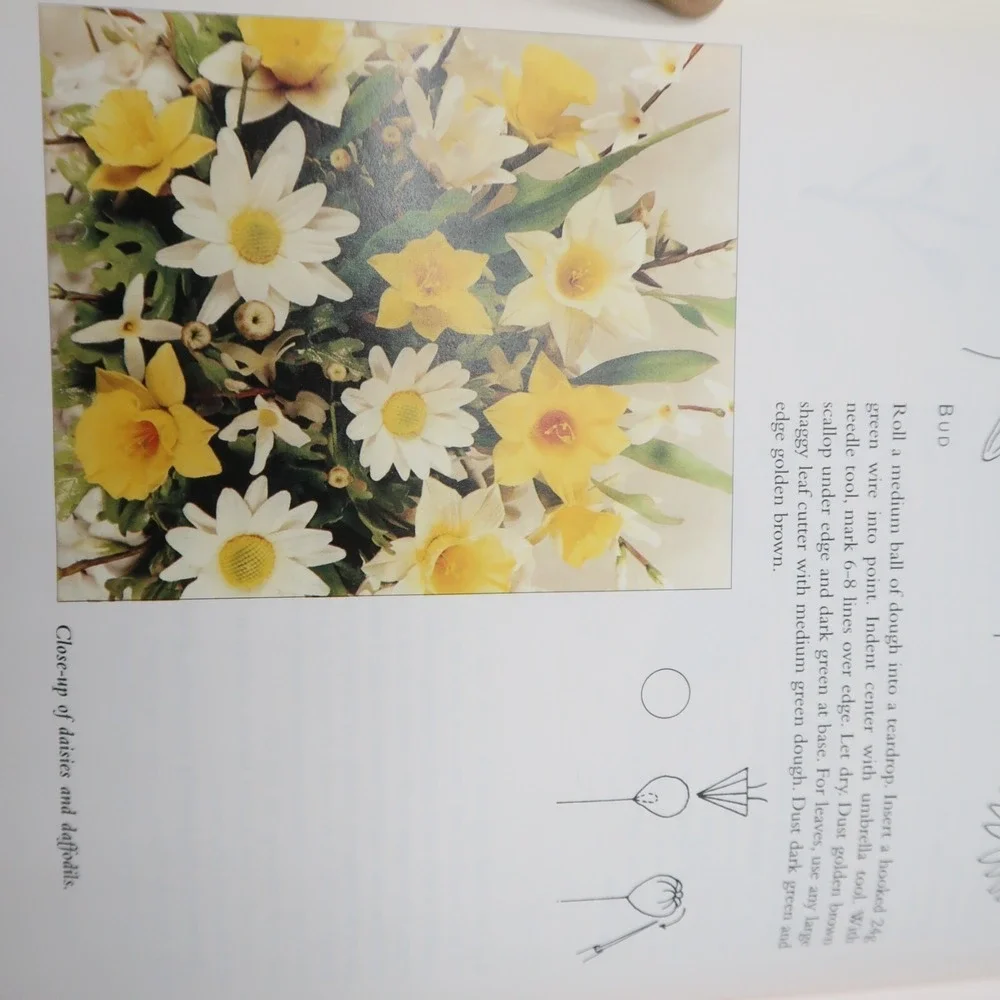 Cakes by Design The Magical World‎ of Sugar Art Hardcover & Sugar Flowers HC